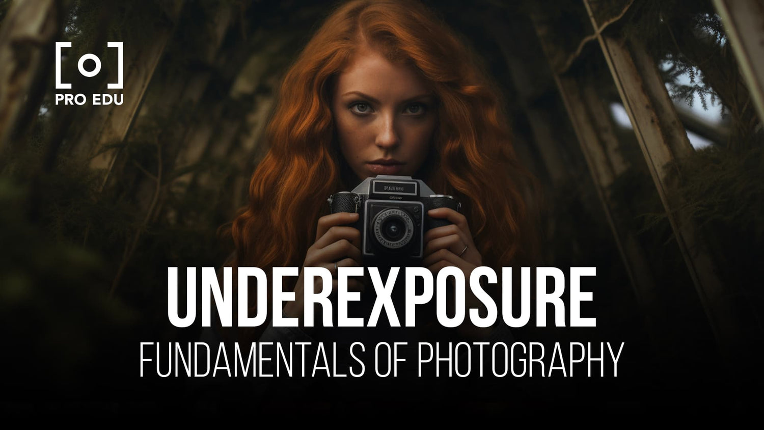 Turning challenges into creative opportunities with underexposure in photography