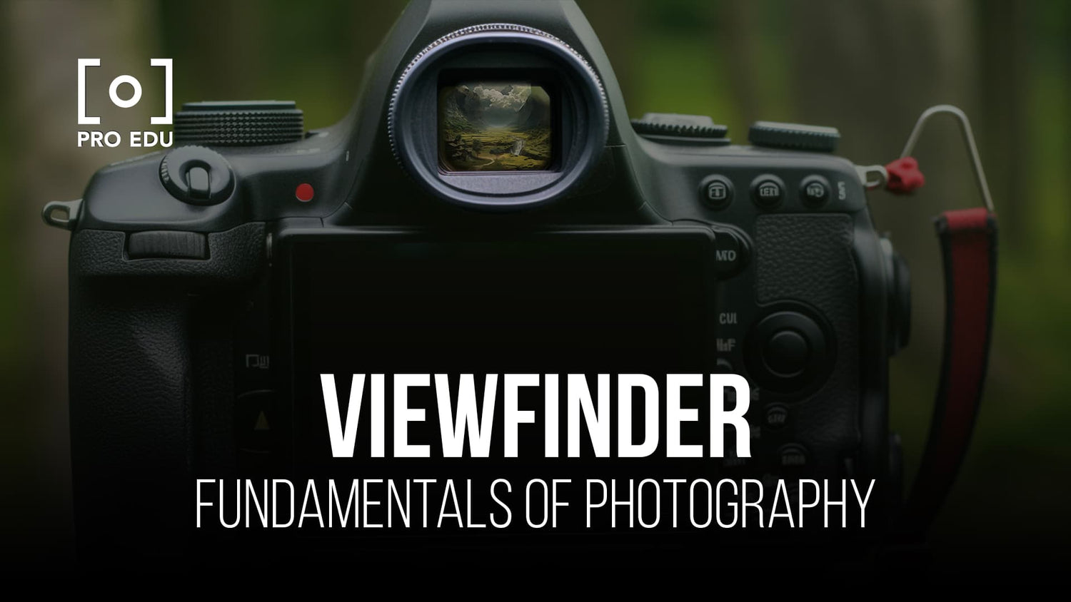 A photographer's guide to mastering the viewfinder for optimal composition