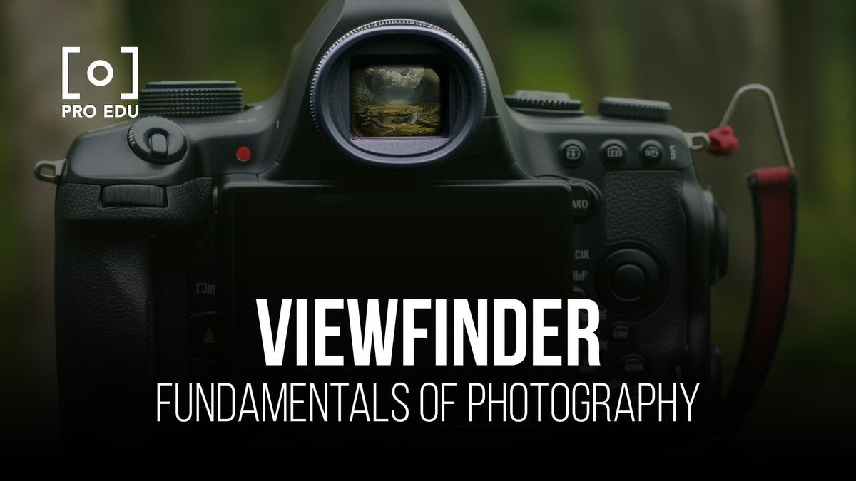 Mastering the Viewfinder: A Photographer's Guide