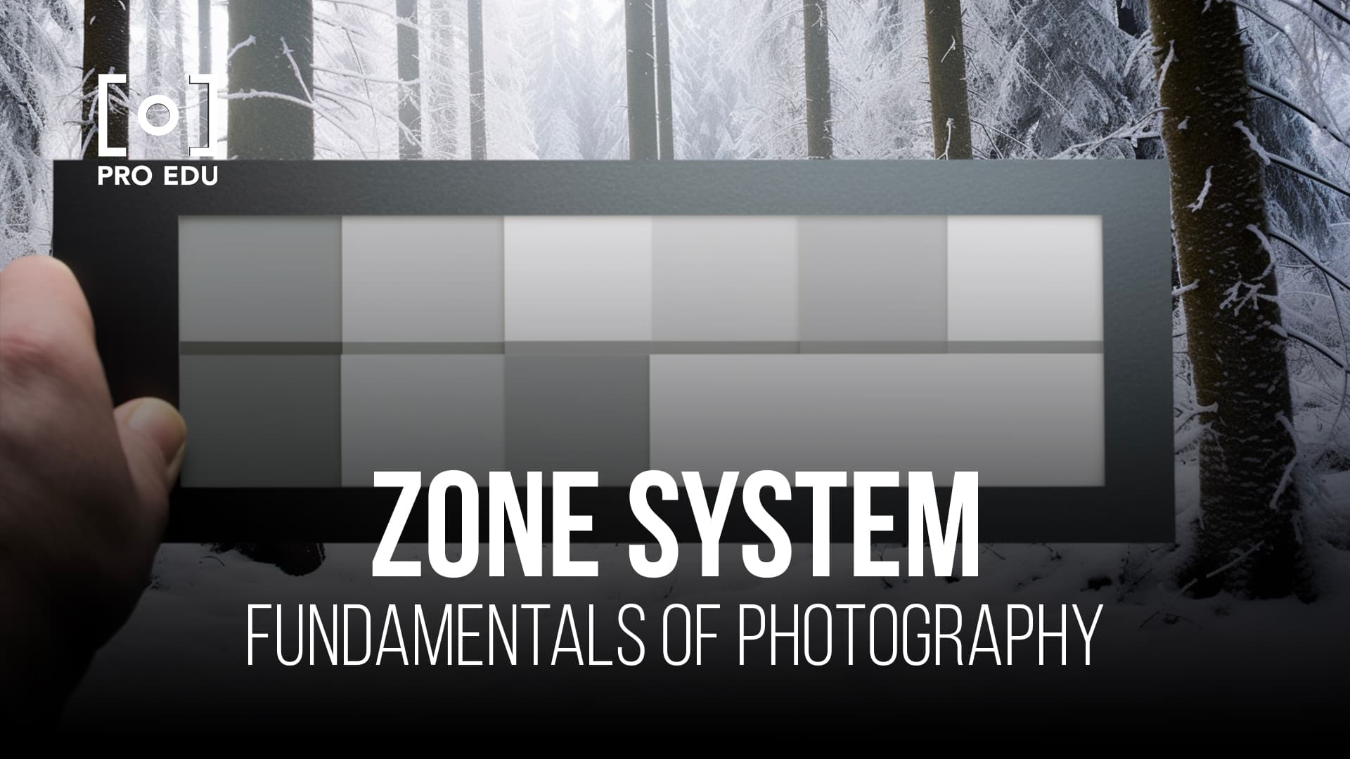 Expert photographer applying Zone System principles for optimal exposure and contrast