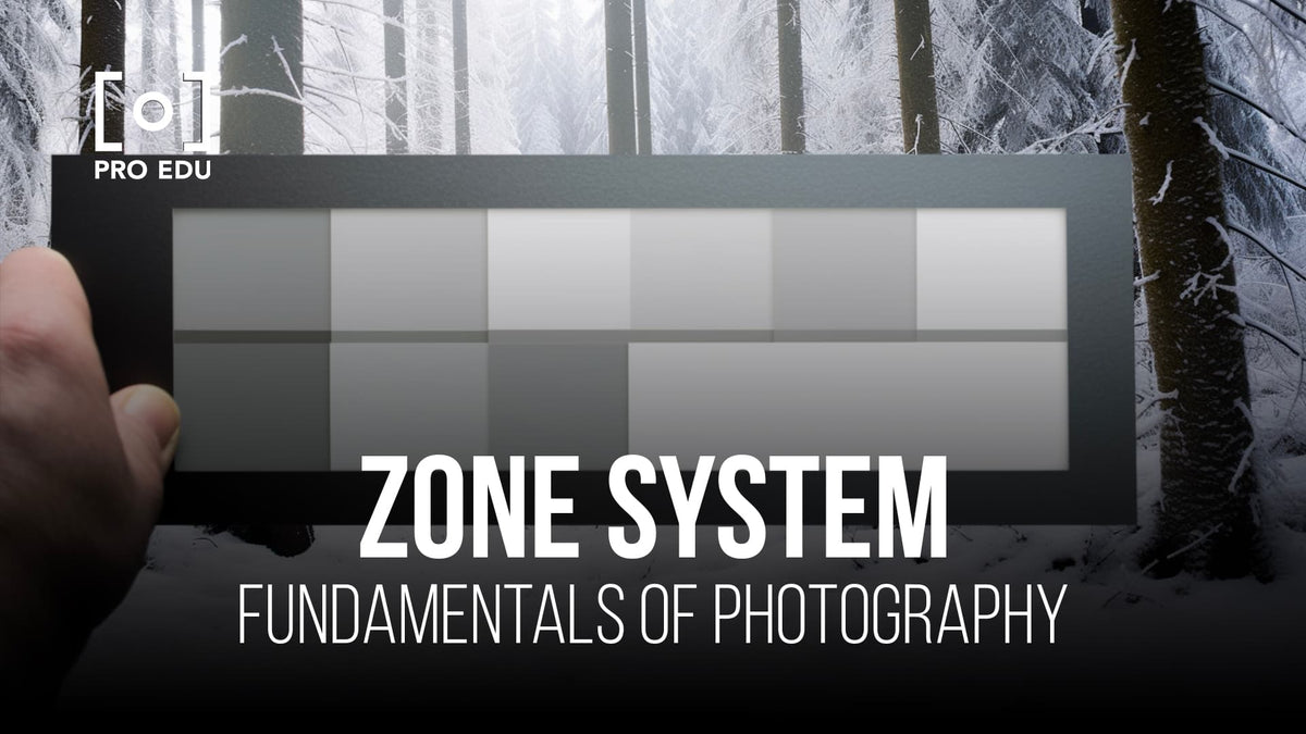 Zone System in Photography: Mastering Exposure and Contrast