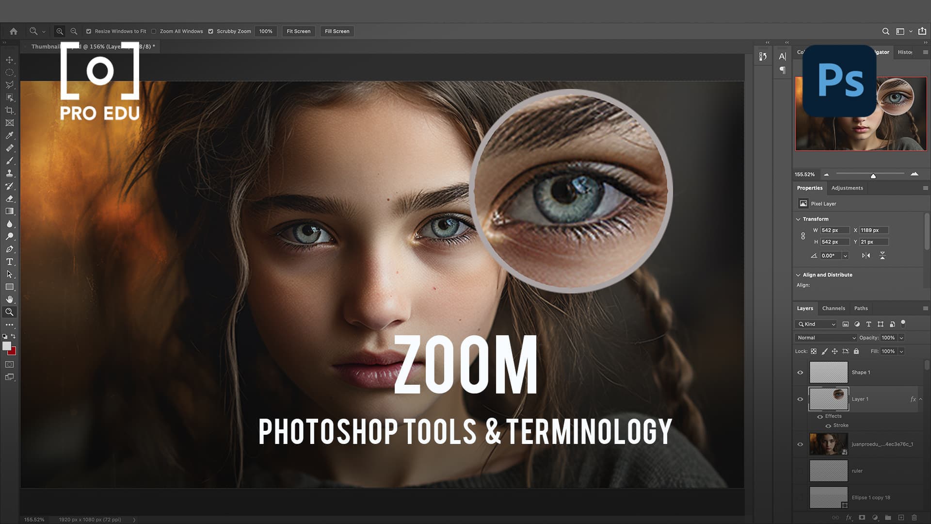 Zoom Tool Functions in Photoshop - PRO EDU Guide