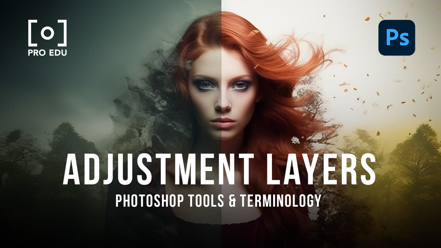 Example of an Adjustment Layer in use in Photoshop, demonstrating how it enhances image editing.