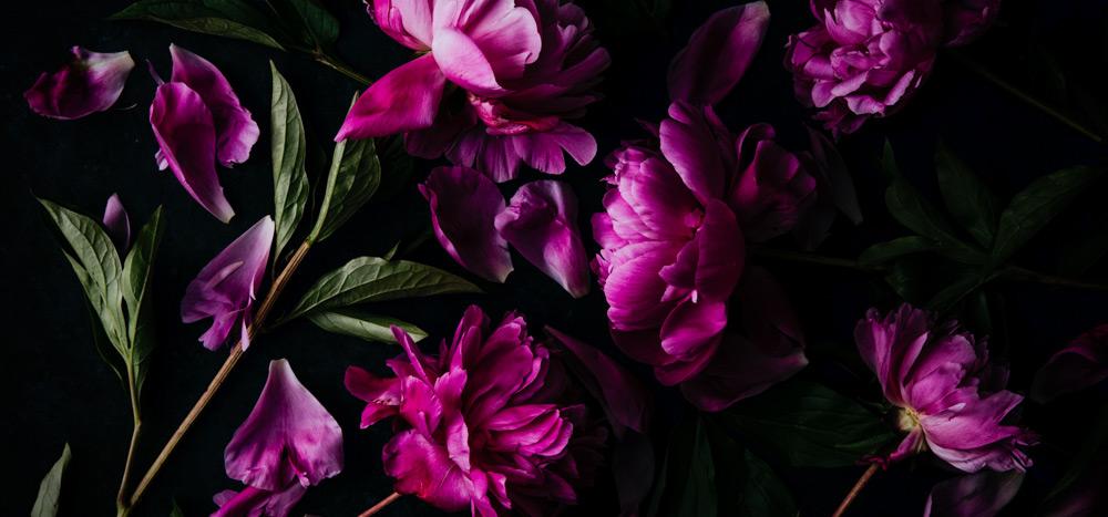 Ten Tips for Shooting Stunning Still Life Photography