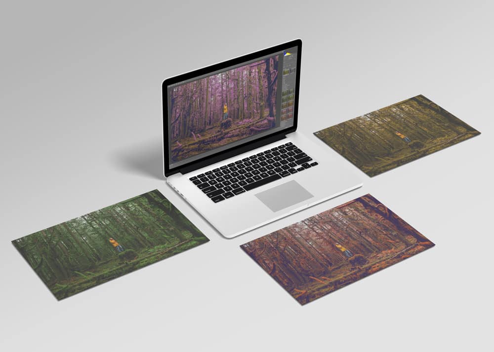 3D LUTS & Color Grading Collection