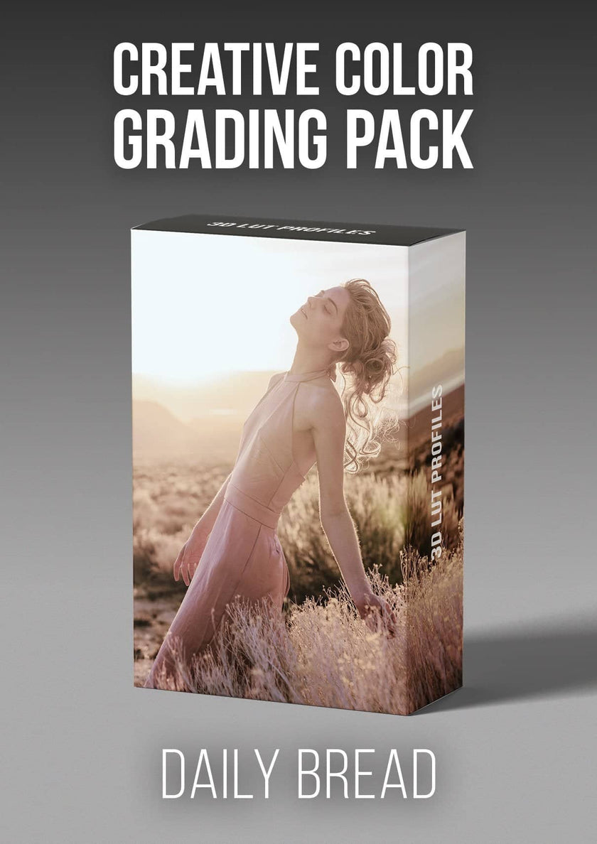 Vintage color grading profile pack and The best way to get a 70s look with your photos with PRO EDU plugins and color grading tools for photographers.