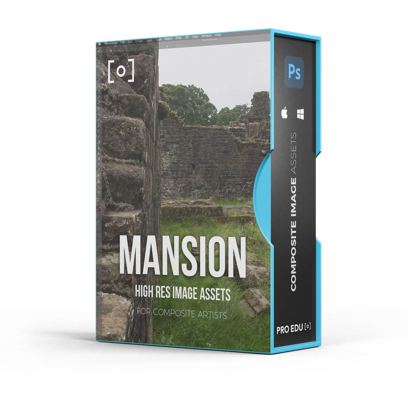 COMPOSITE MANSION