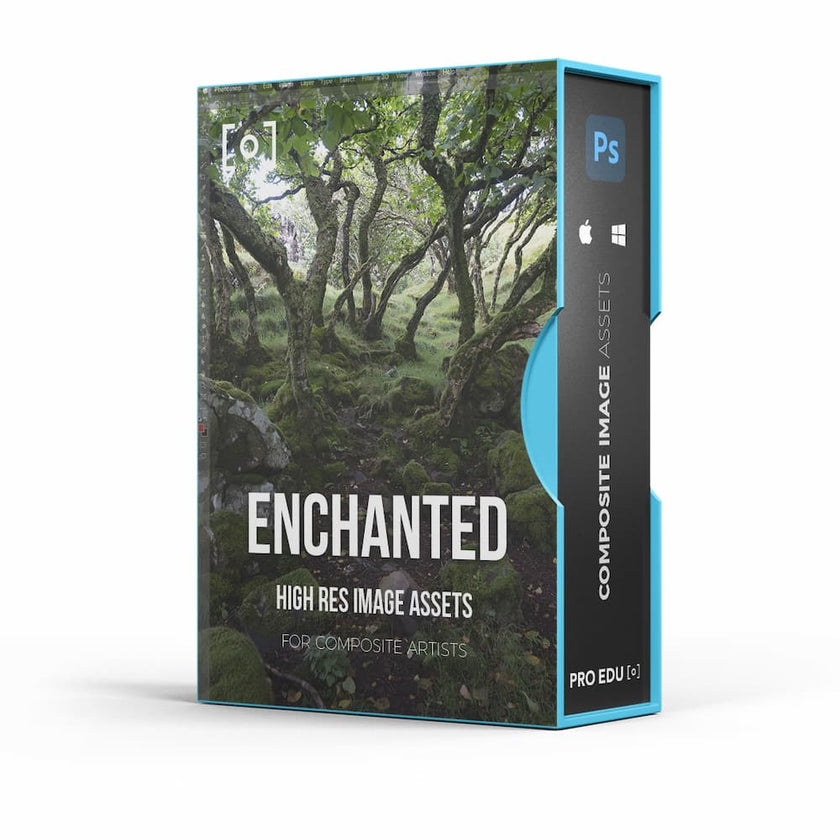 Isle of Skye Enchanted Forest Composite Stock Assets