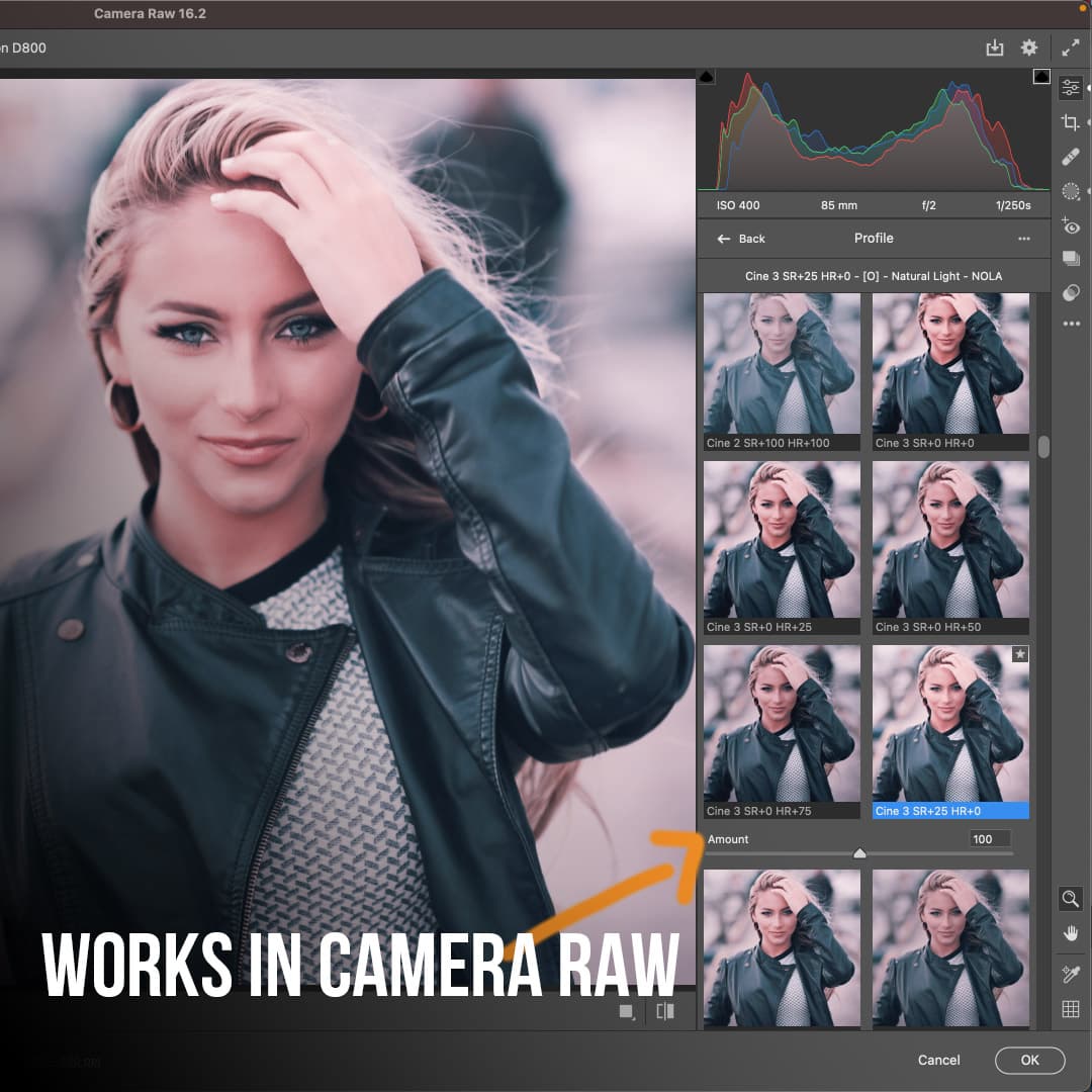 3D LUT Camera RAW workflow in Adobe Photoshop PRO EDU