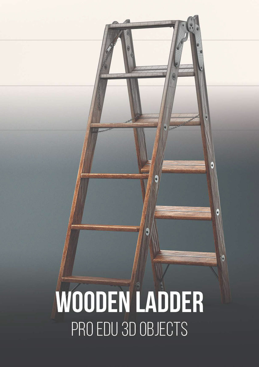 Wooden Ladder 3D Model | C4D FBX OBJ CGI Asset PRO EDU ladder c4d octane render engine models and classes to get certified.