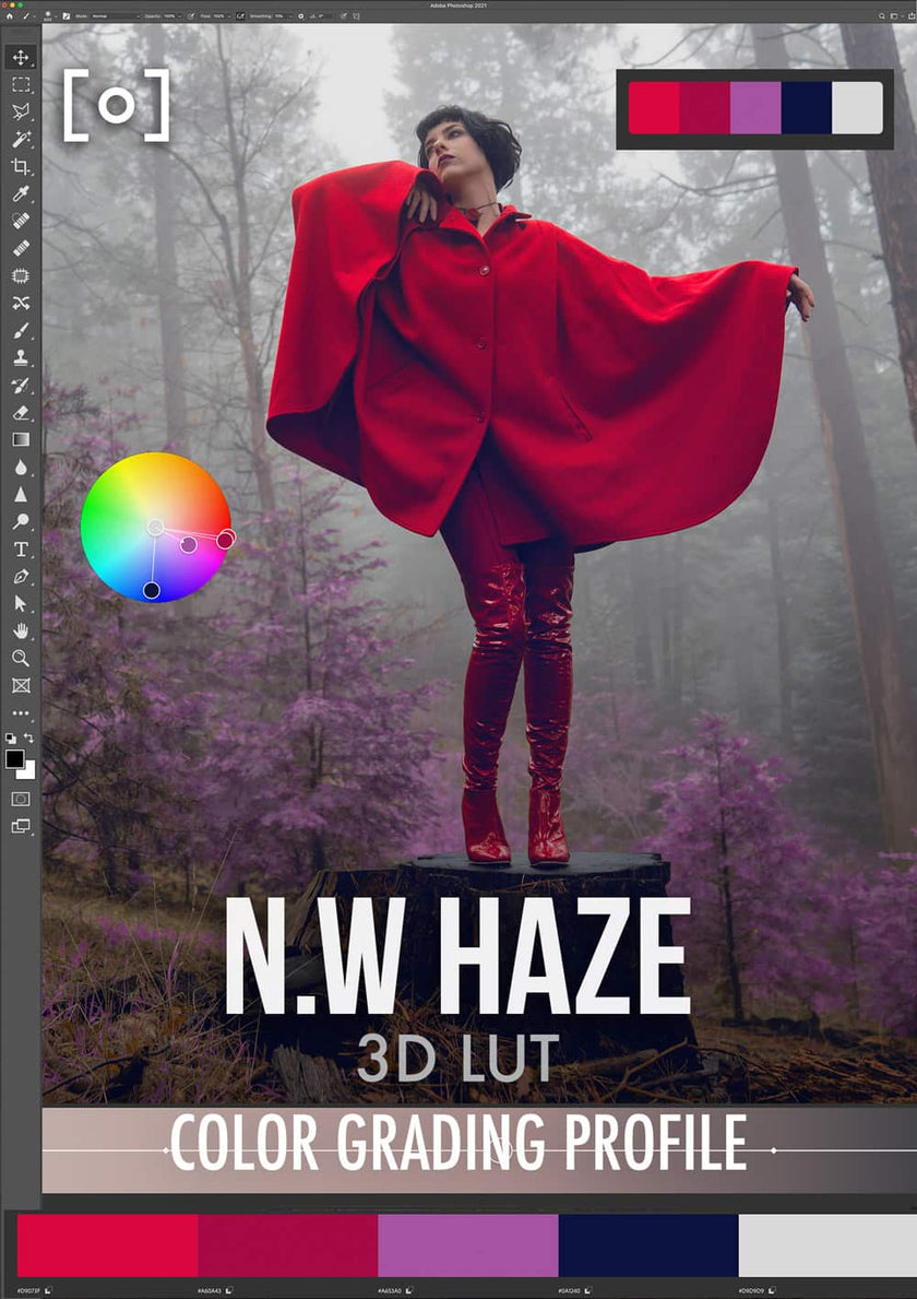 3D LUT Profile Northwest Haze