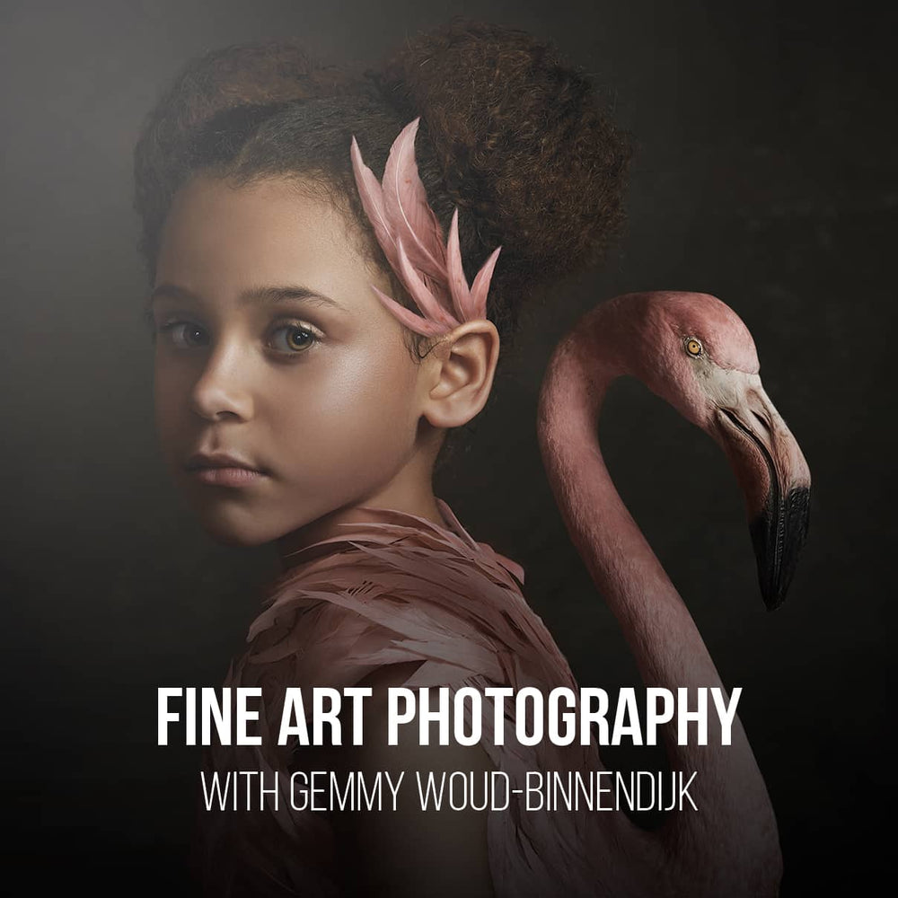 How To Start Modeling Shoots With Any Agency PRO EDU how-to-start-modeling-shoots-with-any-agency-pro-edu