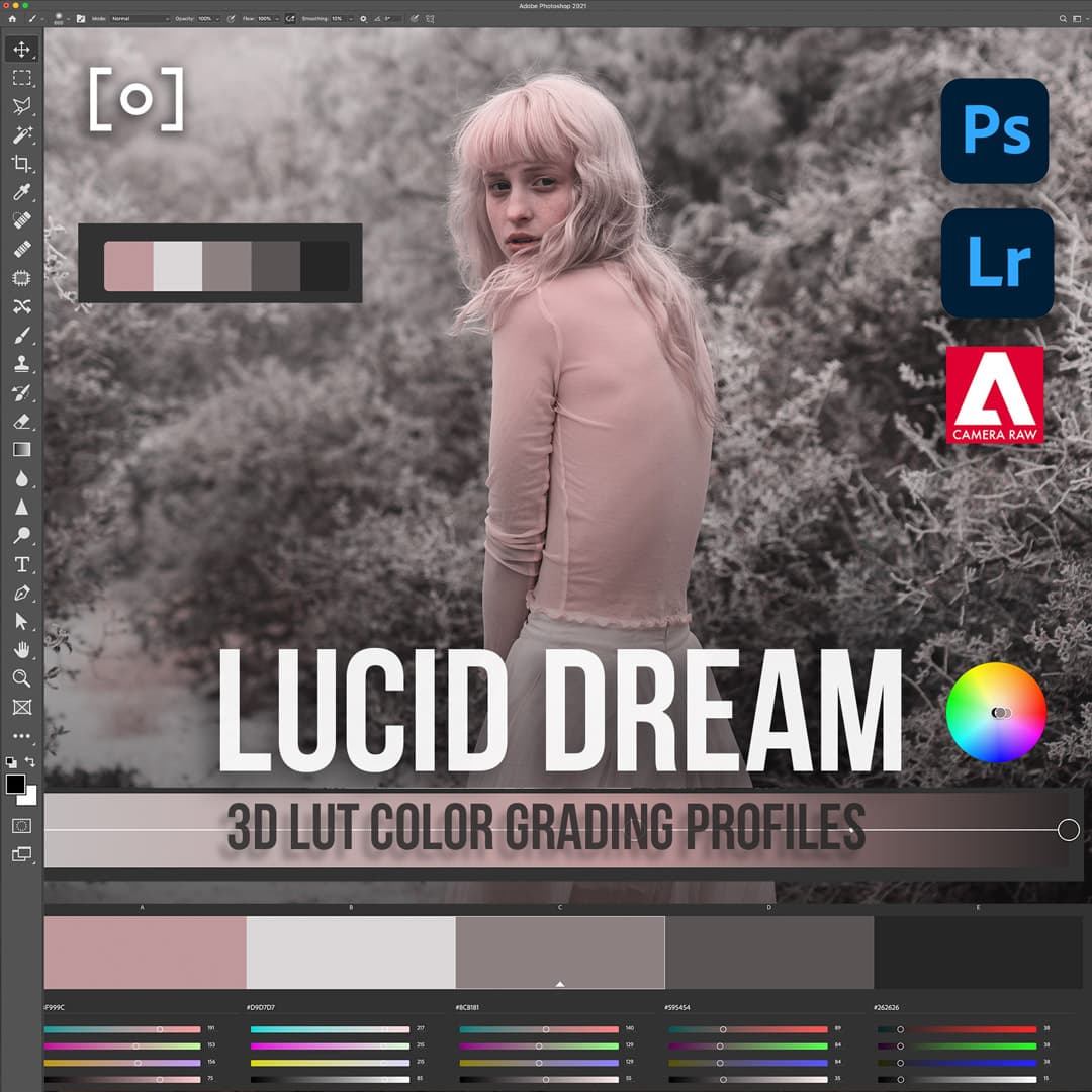 3D LUT Photoshop Profile for Adobe Lightroom - PRO EDU Sef & Earth PRO EDU