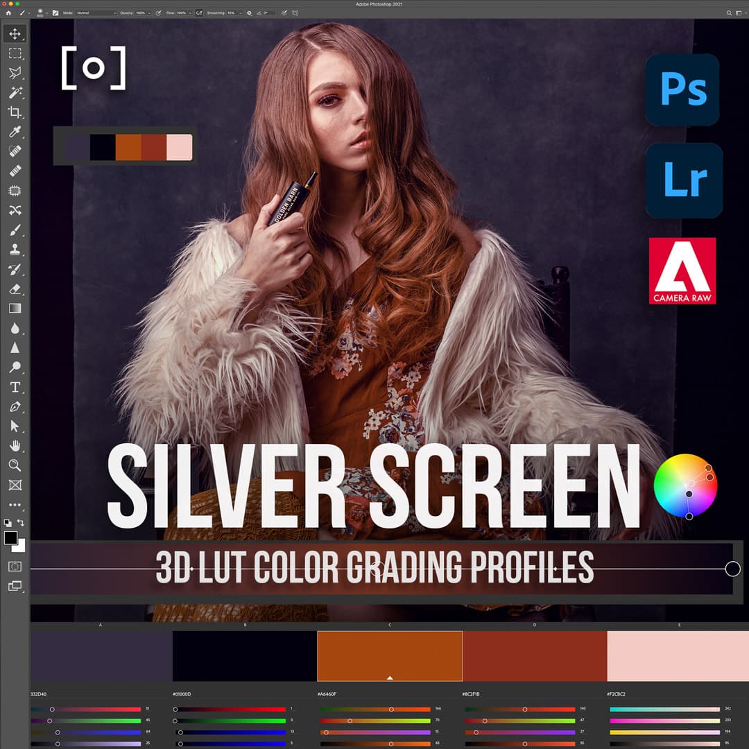 Silver Screen - Creative Color Grading Photoshop Pack - PRO EDU