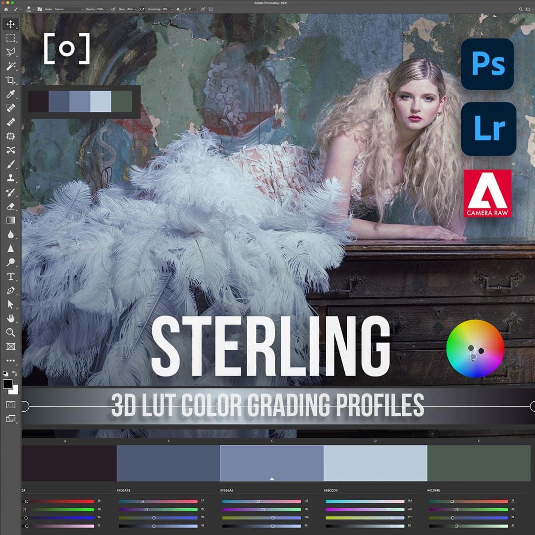 PRO EDU 3D LUT Profile Sterling Lightroom & Photoshop Color Grading  Sef & Earth PRO EDU