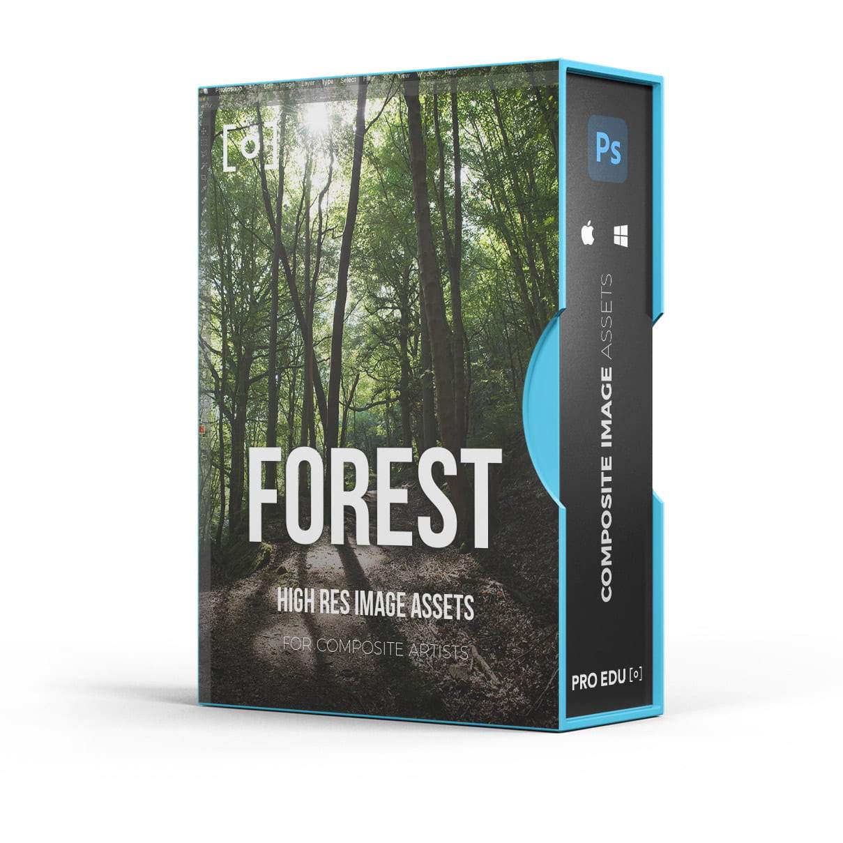 Composite Stock Asset Pack - Dappled Light Forest Photoshop Assets  PRO EDU PRO EDU