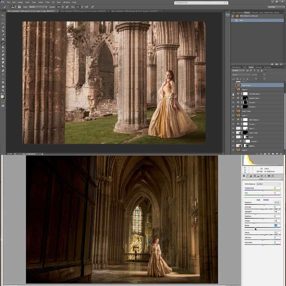 Transform Tool in Photoshop: Reshape Your Images