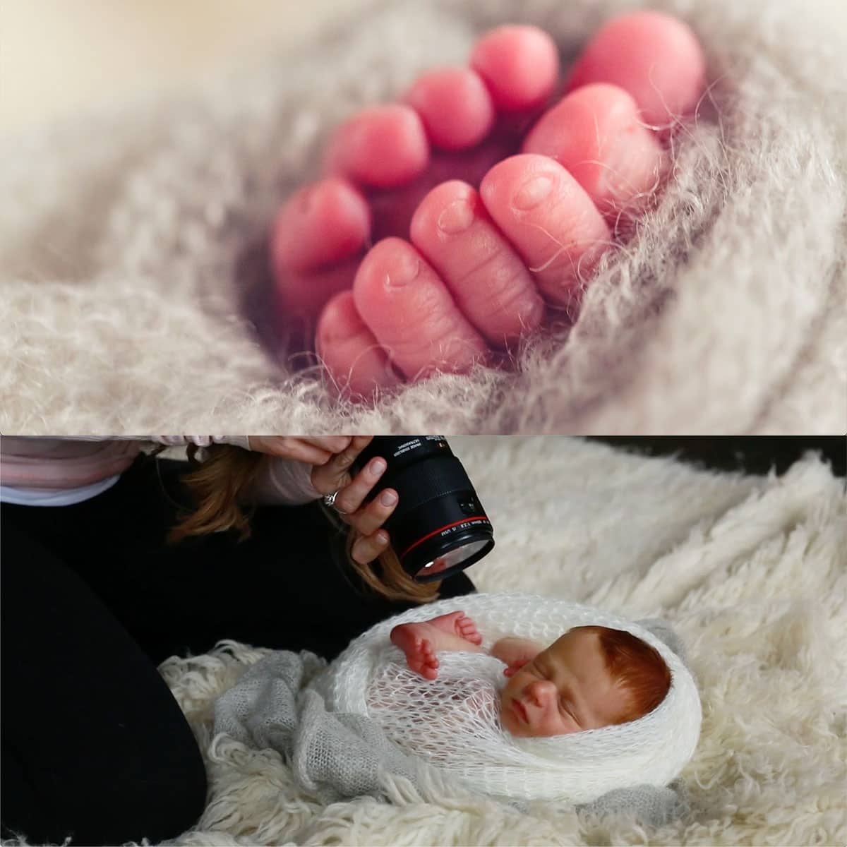 Newborn Photography And Retouching w/ Stephanie Cotta - PRO EDU Stephanie Cotta PRO EDU